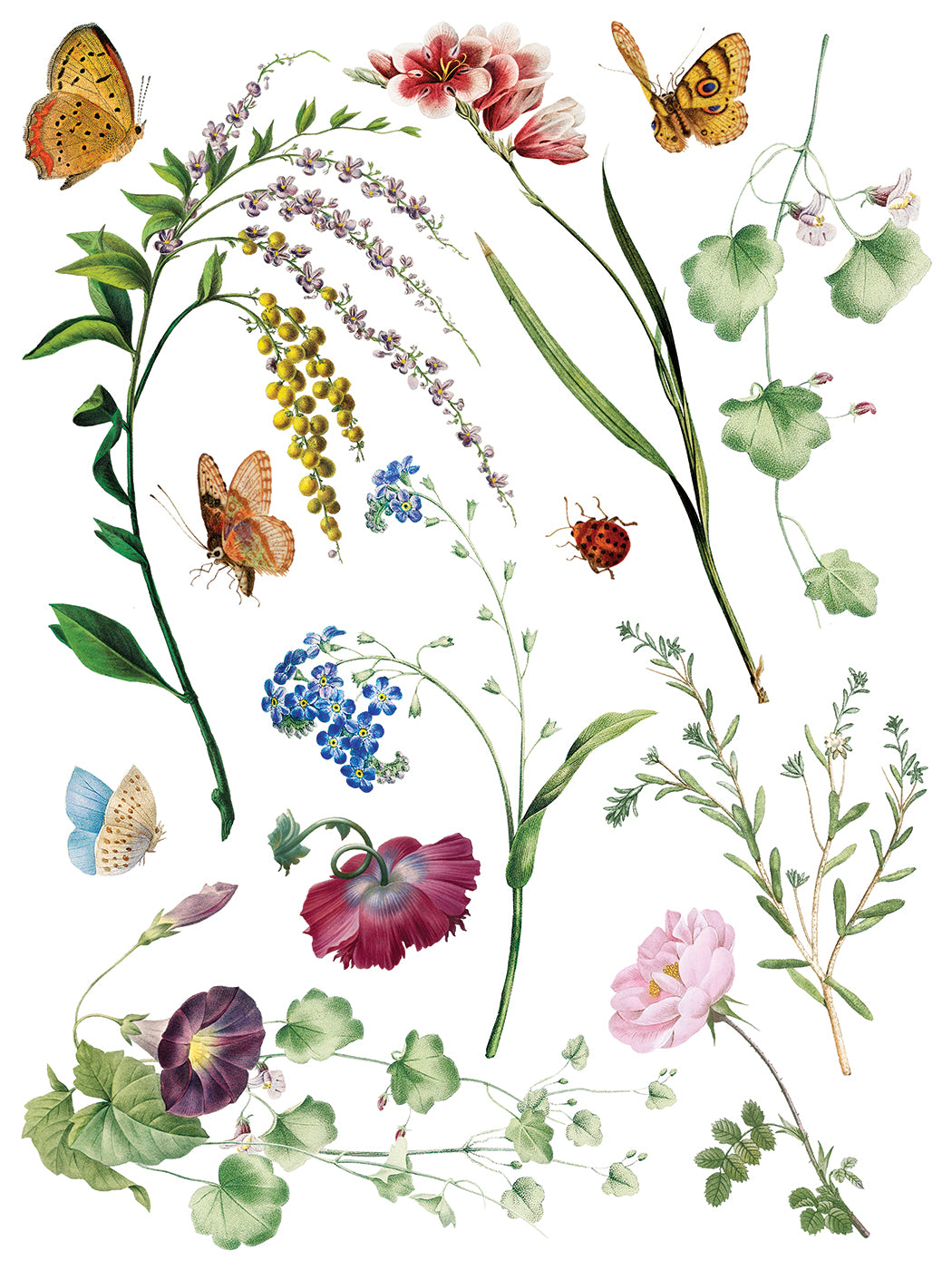 Marche Des Fleurs IOD Transfer - Iron Orchid Designs