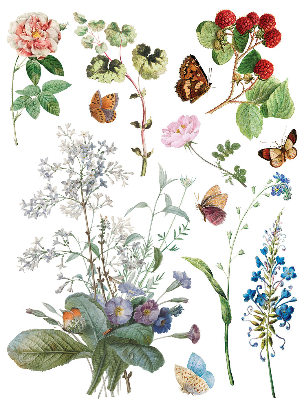 Marche Des Fleurs IOD Transfer - Iron Orchid Designs
