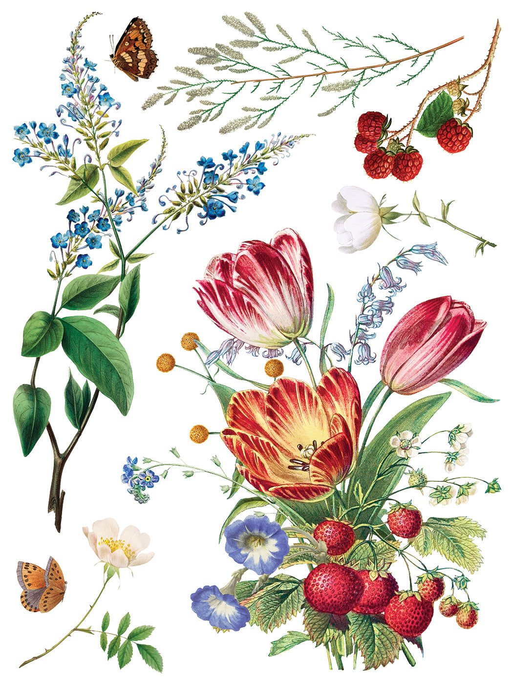 Marche Des Fleurs IOD Transfer - Iron Orchid Designs