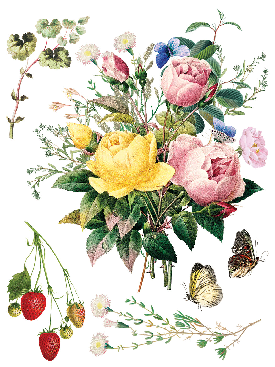 Marche Des Fleurs IOD Transfer - Iron Orchid Designs