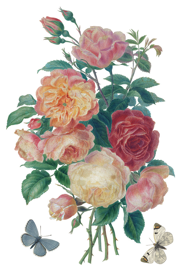 Saint Ouen IOD Transfer - Iron Orchid Designs