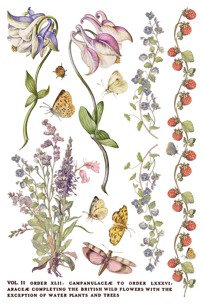 Primrose Isle IOD Transfer - Iron Orchid Designs