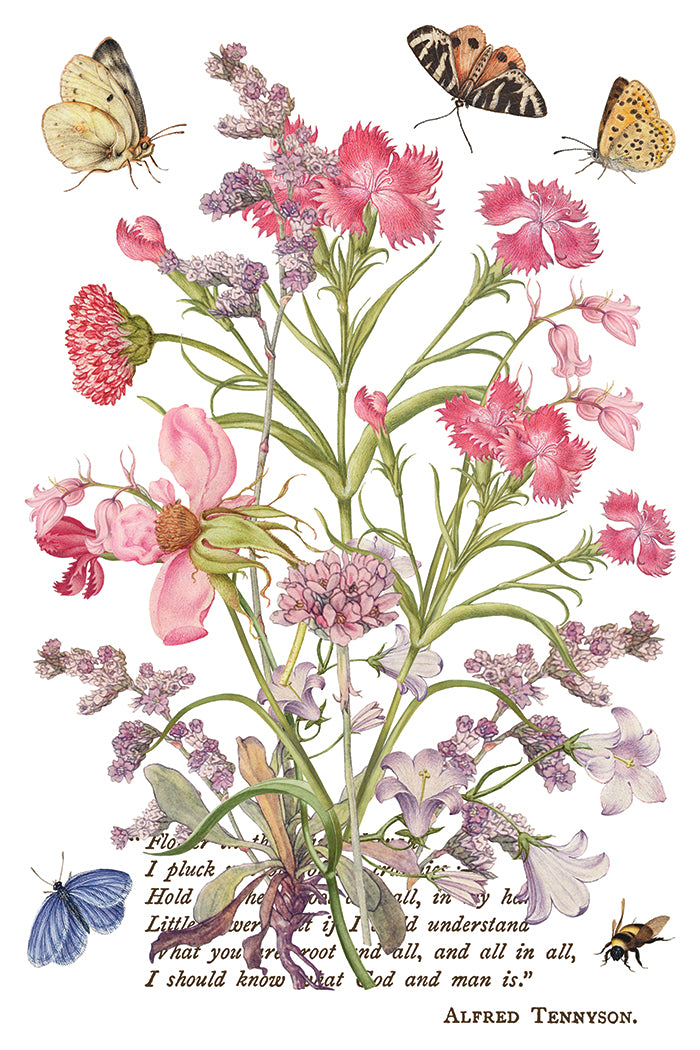 Primrose Isle IOD Transfer - Iron Orchid Designs