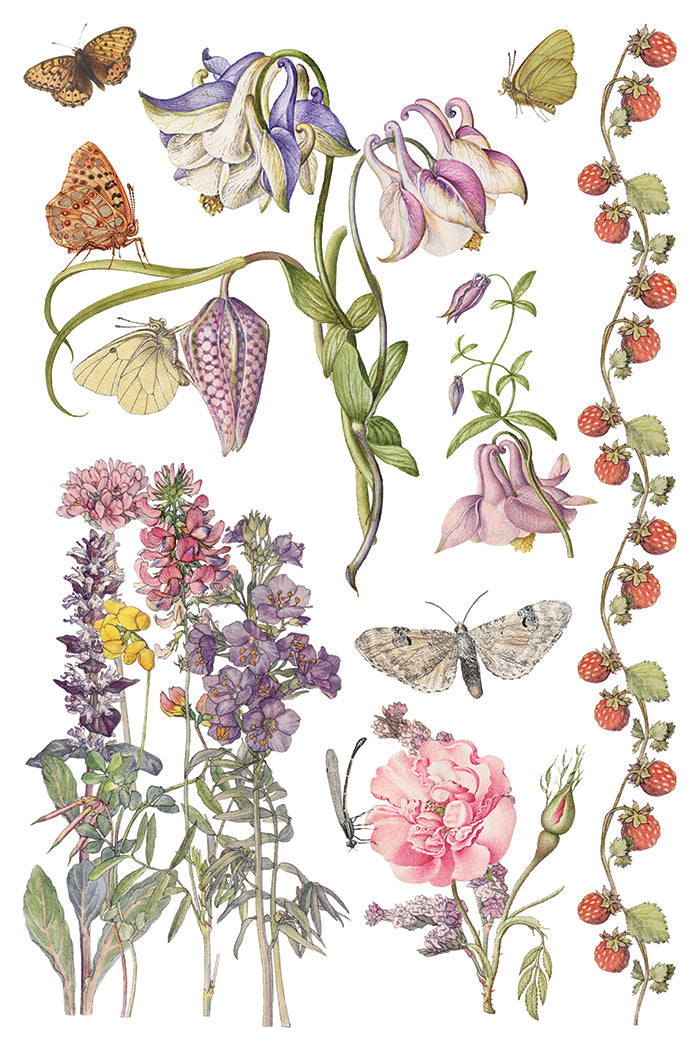 Primrose Isle IOD Transfer - Iron Orchid Designs