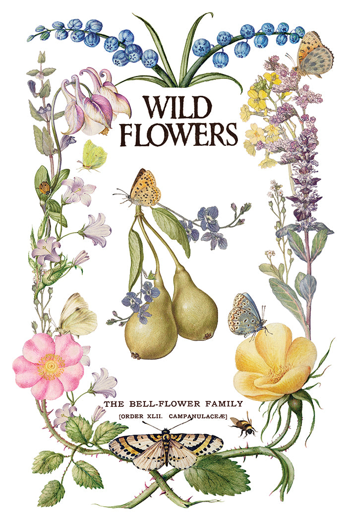 Primrose Isle IOD Transfer - Iron Orchid Designs