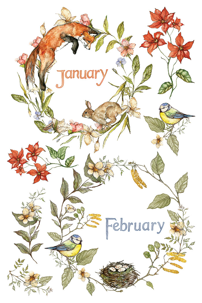 The Bramblewood Diaries IOD Transfer - Iron Orchid Designs