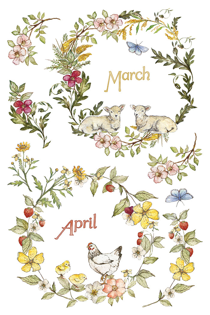 The Bramblewood Diaries IOD Transfer - Iron Orchid Designs