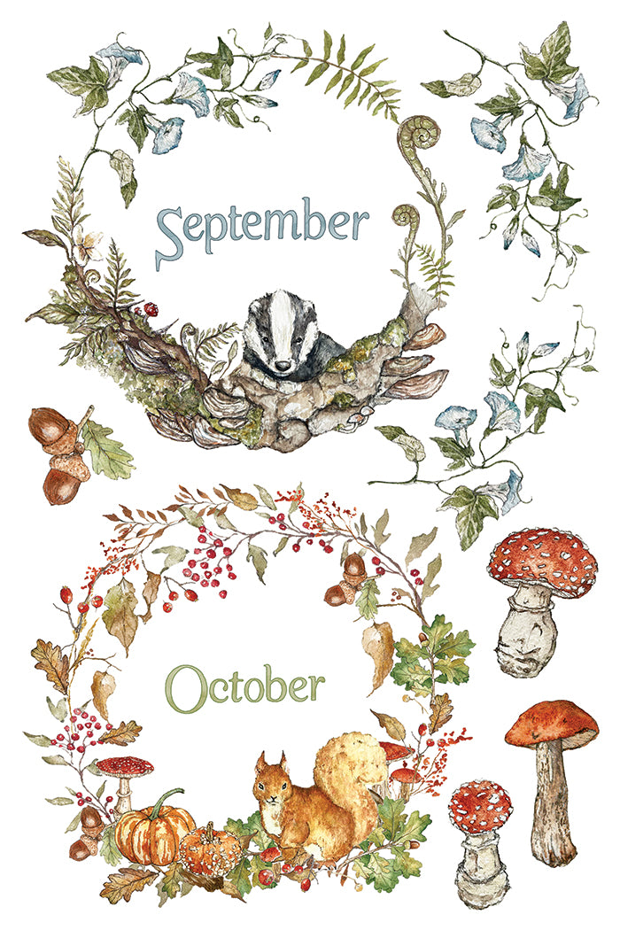 The Bramblewood Diaries IOD Transfer - Iron Orchid Designs