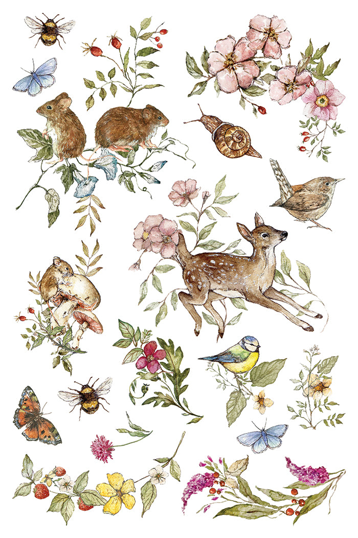 The Bramblewood Diaries IOD Transfer - Iron Orchid Designs