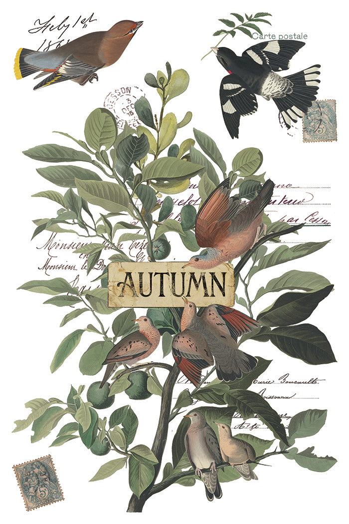 Winter's Calling Diaries IOD Transfer - Iron Orchid Designs *LIMITED EDITION*