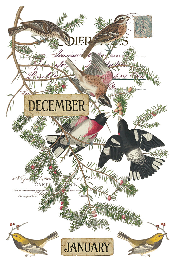 Winter's Calling Diaries IOD Transfer - Iron Orchid Designs *LIMITED EDITION*