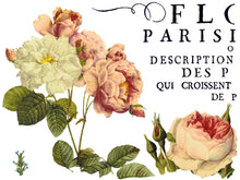 Load image into Gallery viewer, Flora Parisiensis IOD Transfer - Iron Orchid Designs