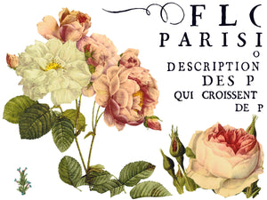 Flora Parisiensis IOD Transfer - Iron Orchid Designs