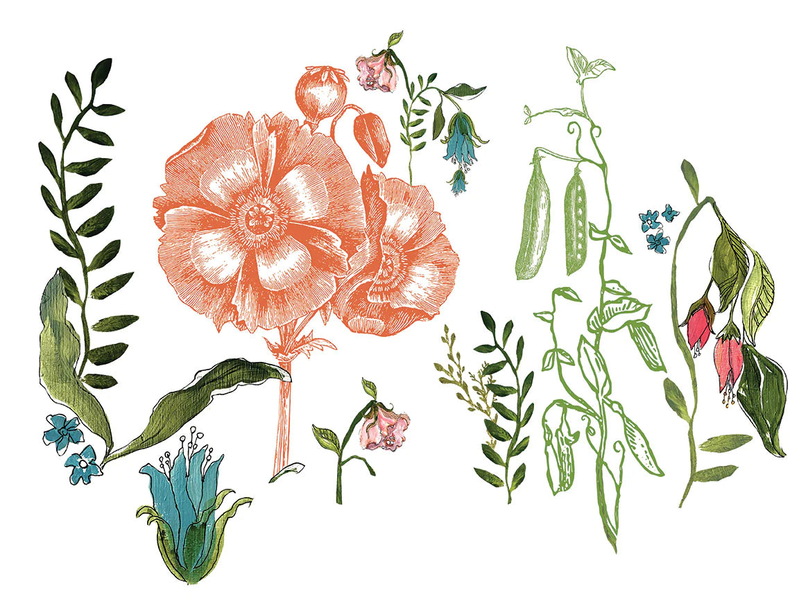 Wander IOD Transfer - Iron Orchid Designs