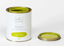 Load image into Gallery viewer, Icypole Green, Yellow/Green Mineral Paint for Furniture, MINT by Michelle