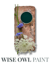 Load image into Gallery viewer, Jupiter - Wise Owl One Hour Enamel Paint