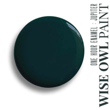 Load image into Gallery viewer, Jupiter - Wise Owl One Hour Enamel Paint