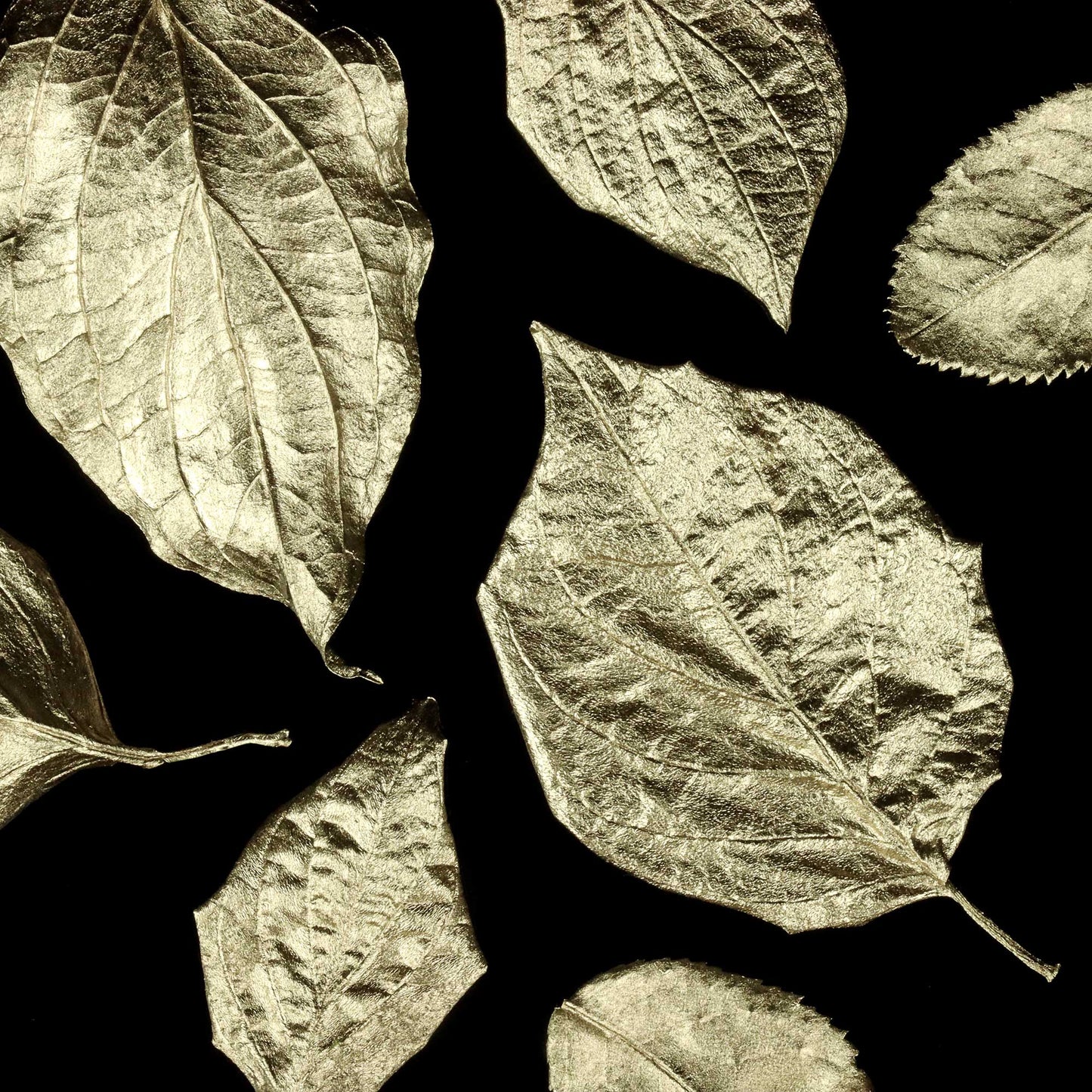 Super GILD Platinum - Acrylic Gilding Enamel