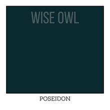 Load image into Gallery viewer, Poseidon - Wise Owl One Hour Enamel Paint
