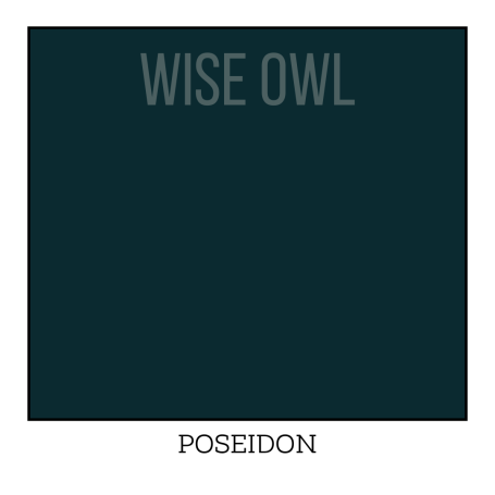 Poseidon - Wise Owl One Hour Enamel Paint