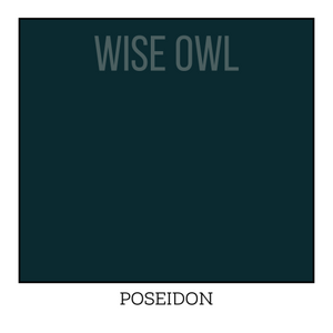 Poseidon - Wise Owl One Hour Enamel Paint
