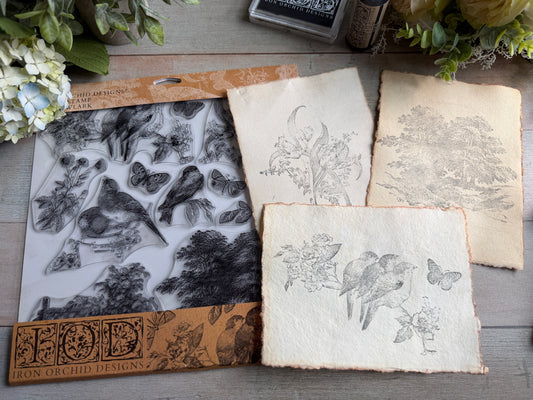 Meadowlark IOD Stamps - Iron Orchid Designs