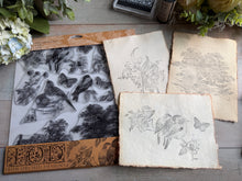 Load image into Gallery viewer, Meadowlark IOD Stamps - Iron Orchid Designs