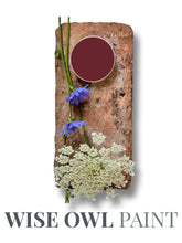 Load image into Gallery viewer, Rosewood - Wise Owl One Hour Enamel Paint