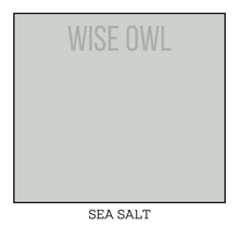 Load image into Gallery viewer, Pale Blue/Green Furniture Paint - Sea Salt - Wise Owl One Hour Enamel