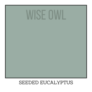 Seeded Eucalyptus - Wise Owl One Hour Enamel Paint
