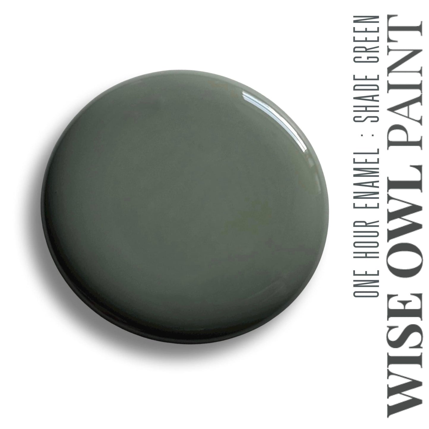 Shade Green - Wise Owl One Hour Enamel Paint