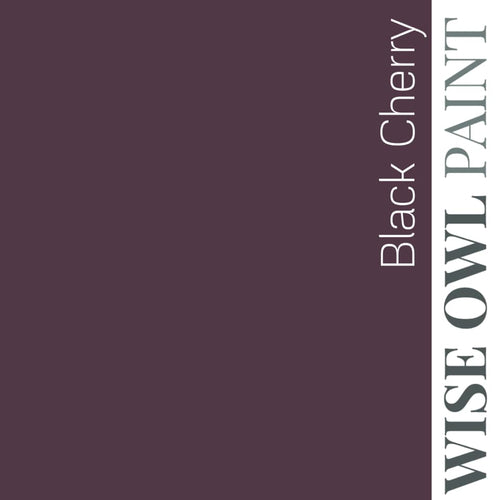 Black Cherry - Wise Owl One Hour Enamel Paint