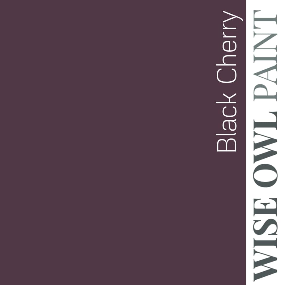 Black Cherry - Wise Owl One Hour Enamel Paint