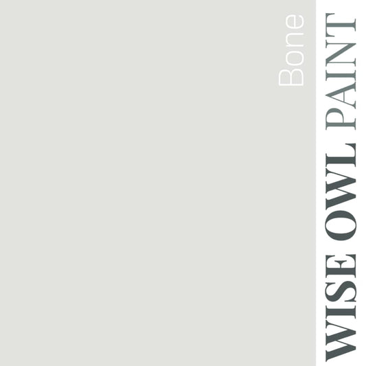Bone - Wise Owl One Hour Enamel Paint