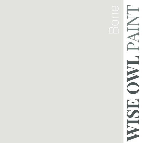 Bone - Wise Owl One Hour Enamel Paint