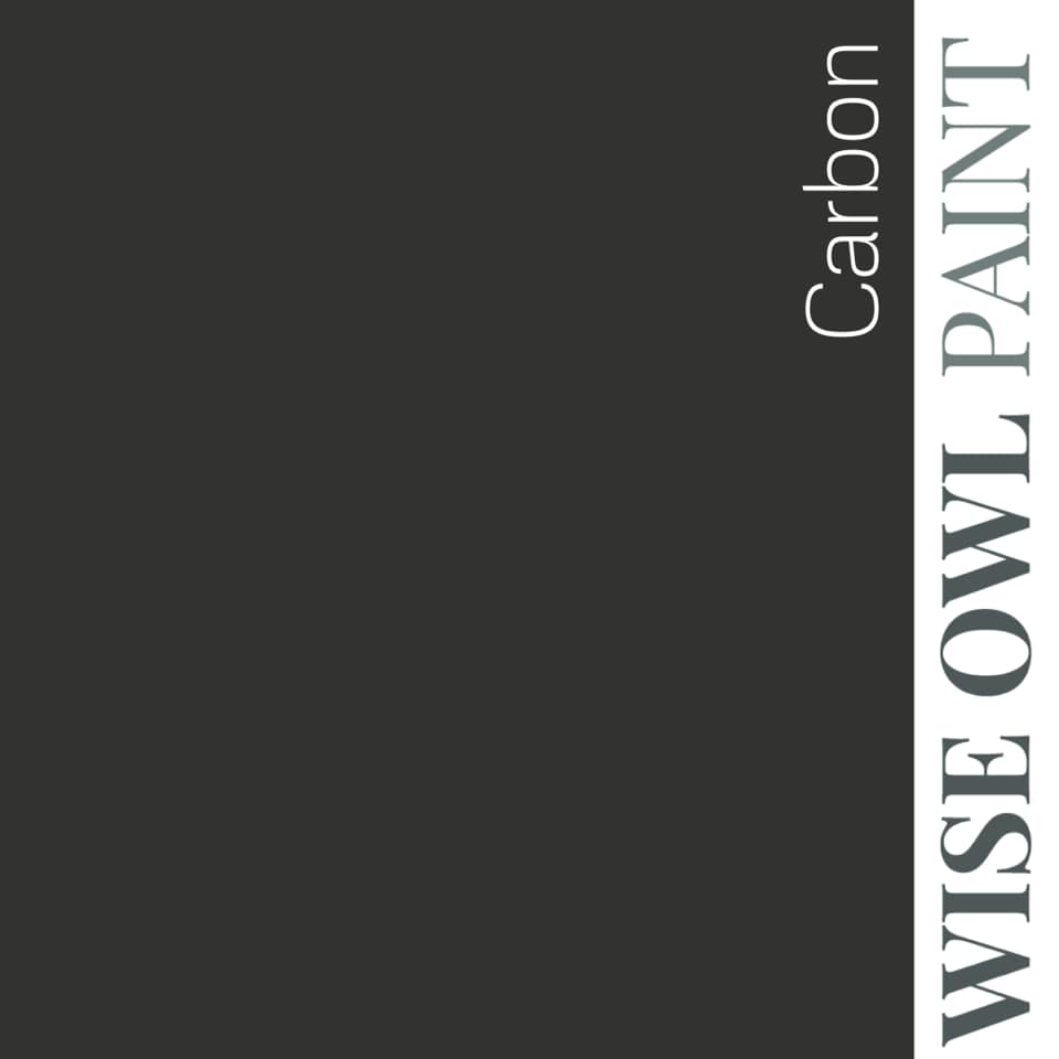 Carbon - Wise Owl One Hour Enamel Paint