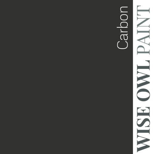 Carbon - Wise Owl One Hour Enamel Paint