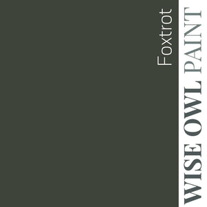 Foxtrot - Wise Owl One Hour Enamel Paint