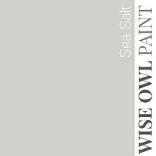 Load image into Gallery viewer, Sea Salt - Wise Owl One Hour Enamel