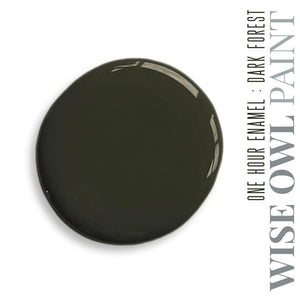 Dark Forest Green - Wise Owl One Hour Enamel Paint