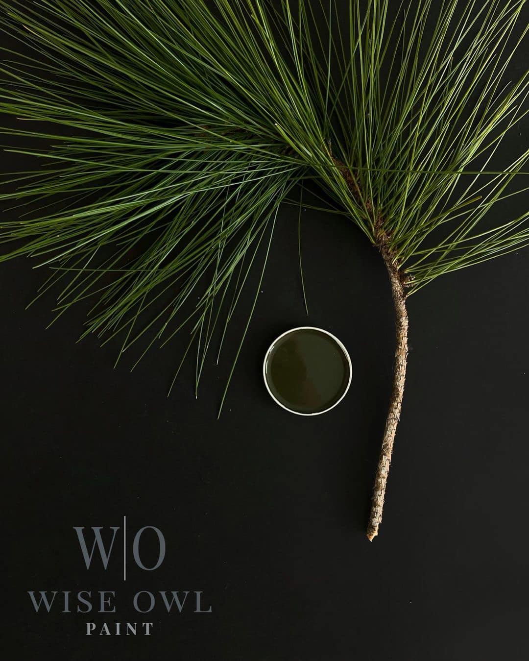 Dark Forest Green - Wise Owl One Hour Enamel Paint
