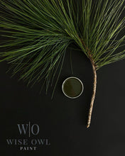 Load image into Gallery viewer, Dark Forest Green - Wise Owl One Hour Enamel Paint