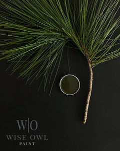 Dark Forest Green - Wise Owl One Hour Enamel Paint