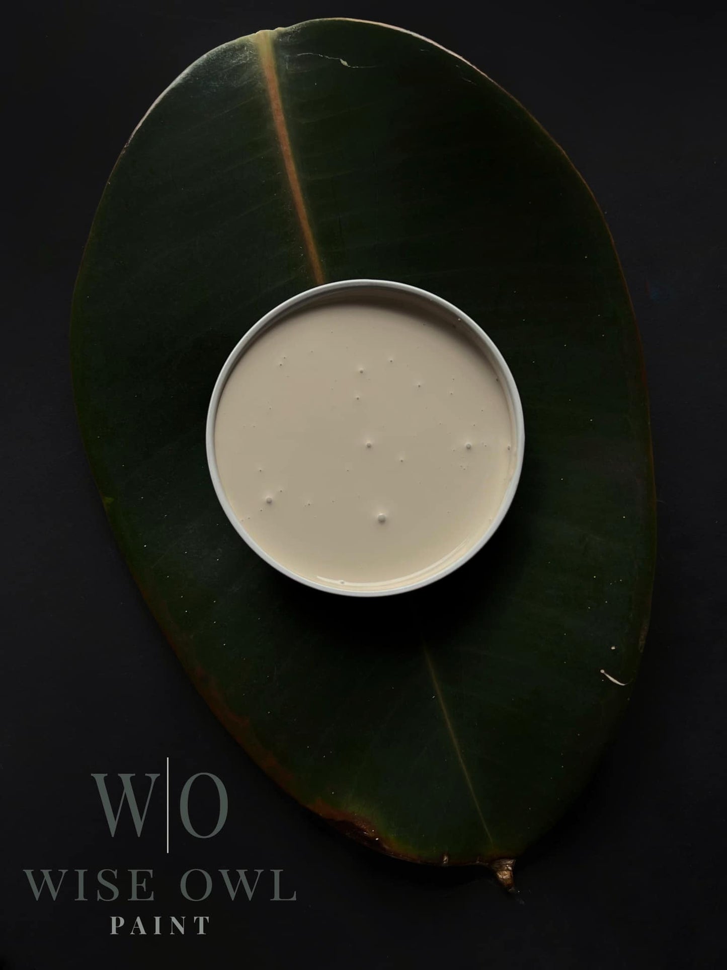 Wise Owl One Hour Enamel Furniture Paint in Satin Ivory
