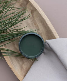 Dixie Belle Silk All In One Paint Acadia Dark Green Swatch