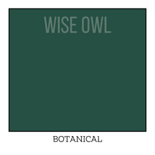 Load image into Gallery viewer, Tropical Green Furniture Paint - Botanical - Wise Owl One Hour Enamel Paint