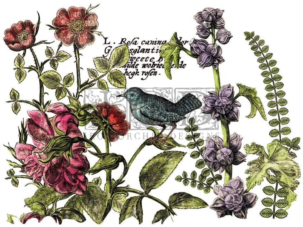 Botanist Journal IOD Transfer - Iron Orchid Designs