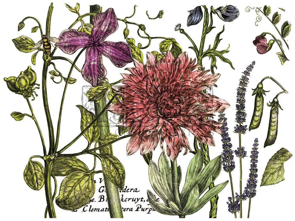 Botanist Journal IOD Transfer - Iron Orchid Designs