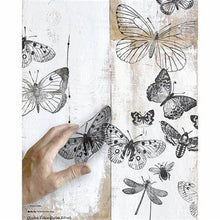 Load image into Gallery viewer, Butterflies IOD Decor Stamp - Iron Orchid Designs