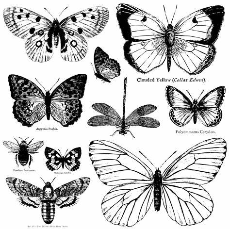 Butterflies IOD Decor Stamp - Iron Orchid Designs